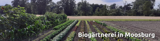 Sandra´s Bauerngarten